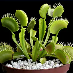 Test product 1 x - Master