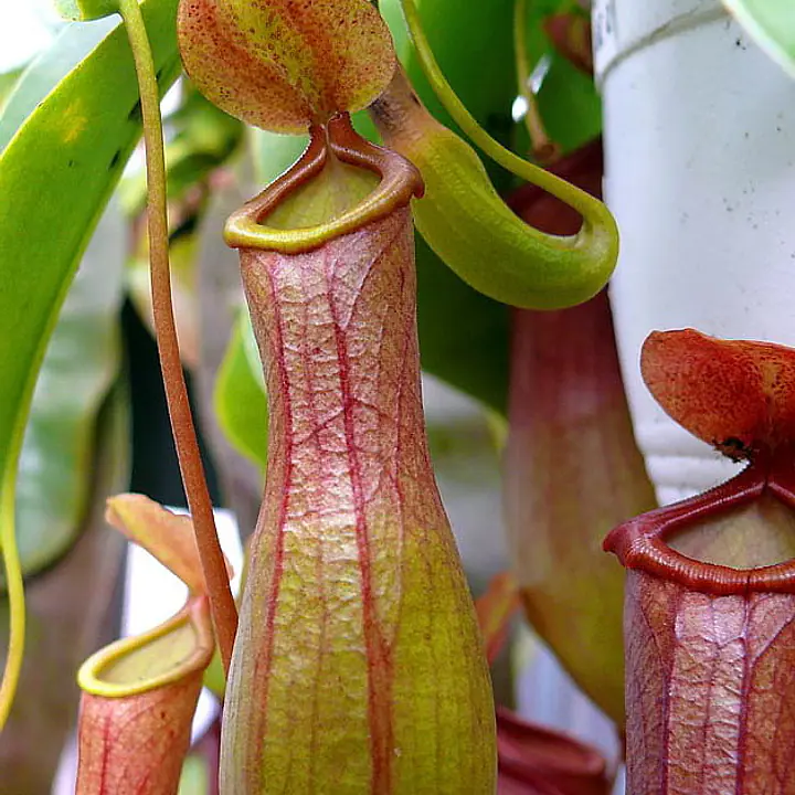 Test product 2 - Master