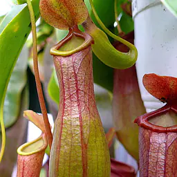 Test product 2 - Master